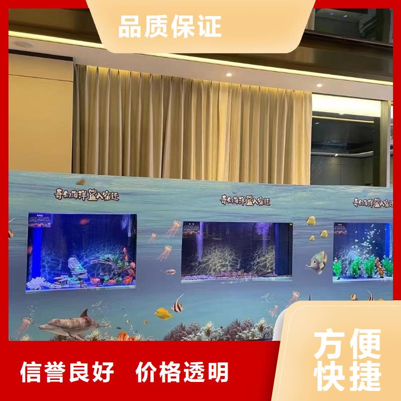 【海洋主题动物表演】 小马戏表演出租资质齐全