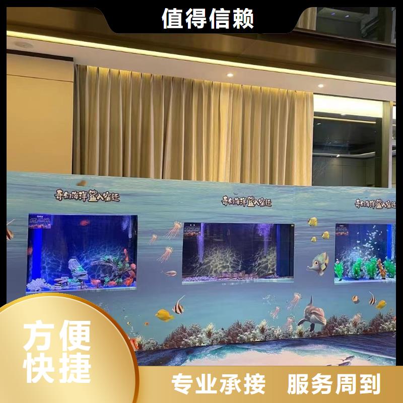 海洋主题动物表演羊驼出租售后保障