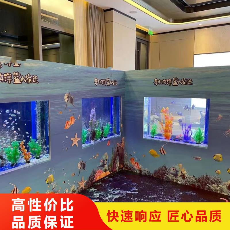 海狮表演出租联系方式