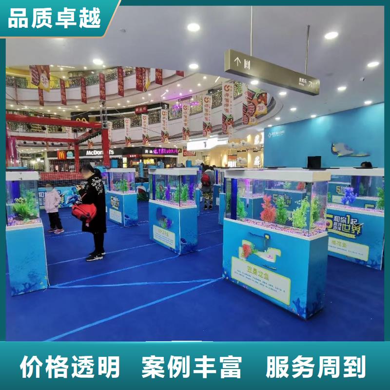 【海洋主题动物表演动物表演出租匠心品质】