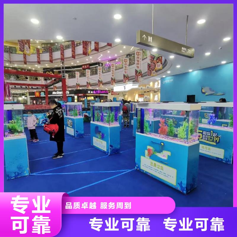 海狮表演电话