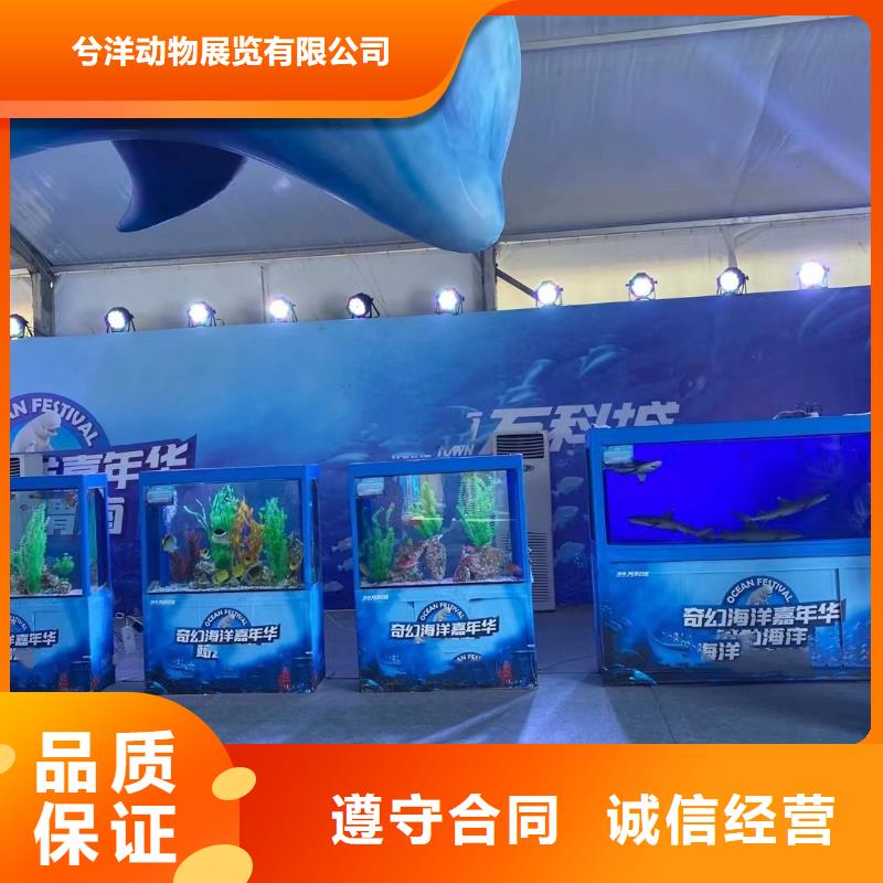 海狮表演出租联系方式