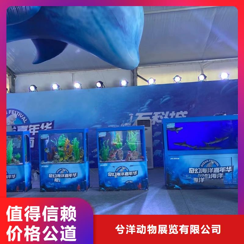 海狮表演电话