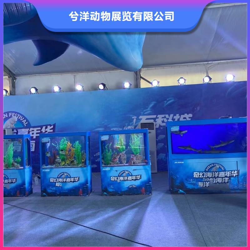 企鹅出租海洋主题