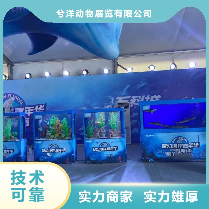 美人鱼表演租赁