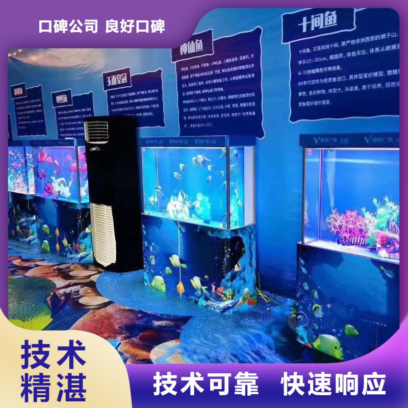 哪里有出租企鹅的主题展览