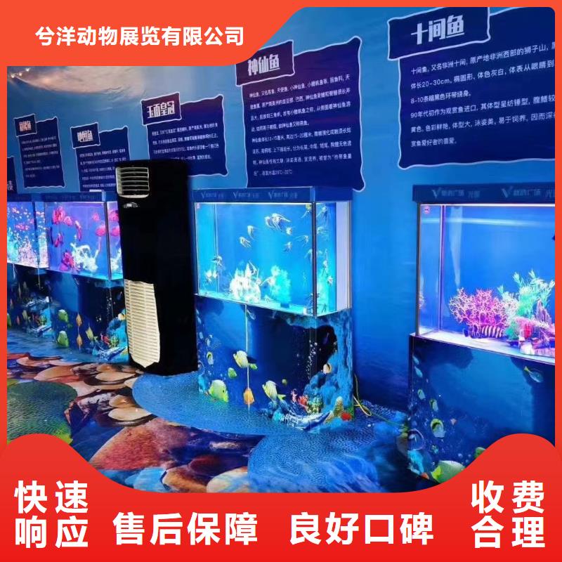 海狮租赁公司活动庆典