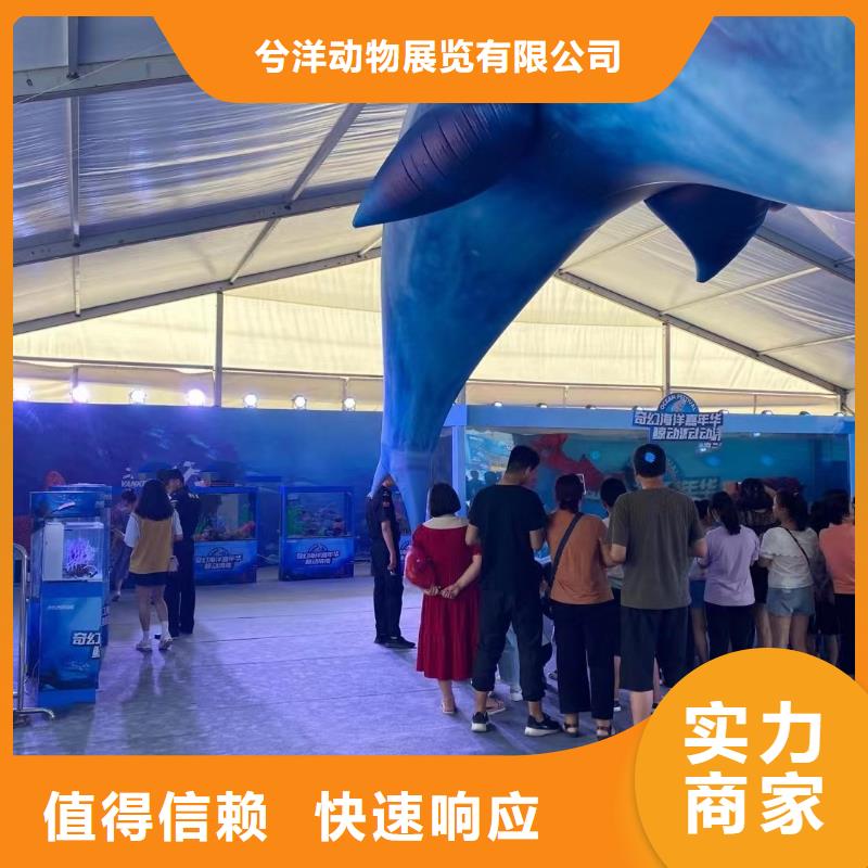 鳄鱼表演租赁