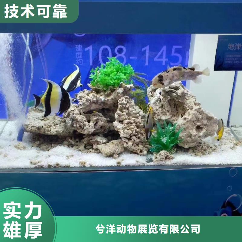 海洋展租赁