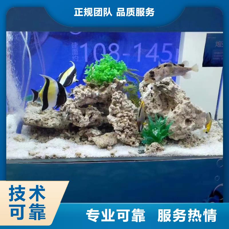 【海洋主题动物表演马戏团表演出租租赁讲究信誉】