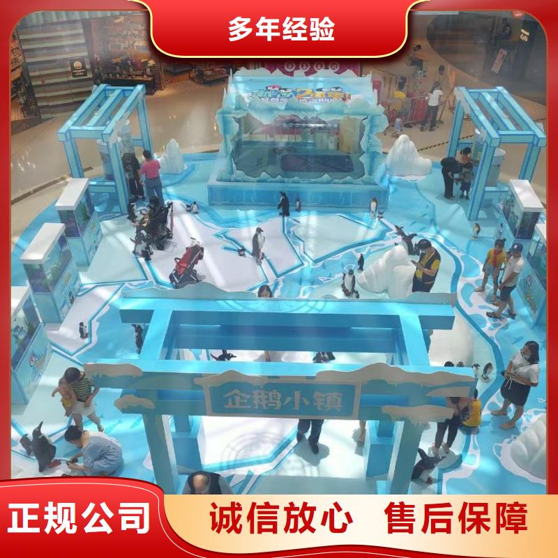 出租海狮表演创意方案