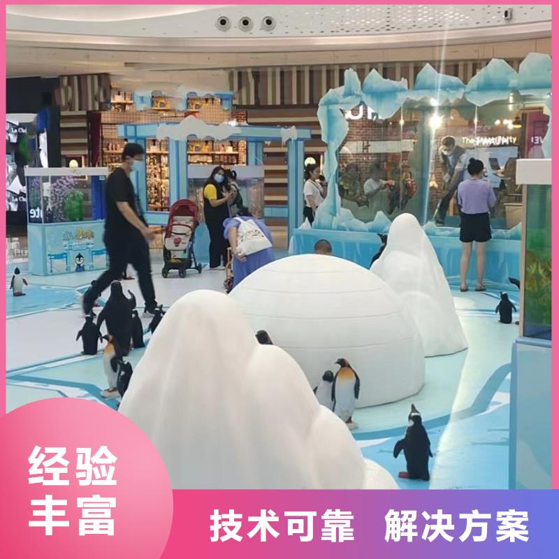 哪有出租美人鱼表演的活跃气氛