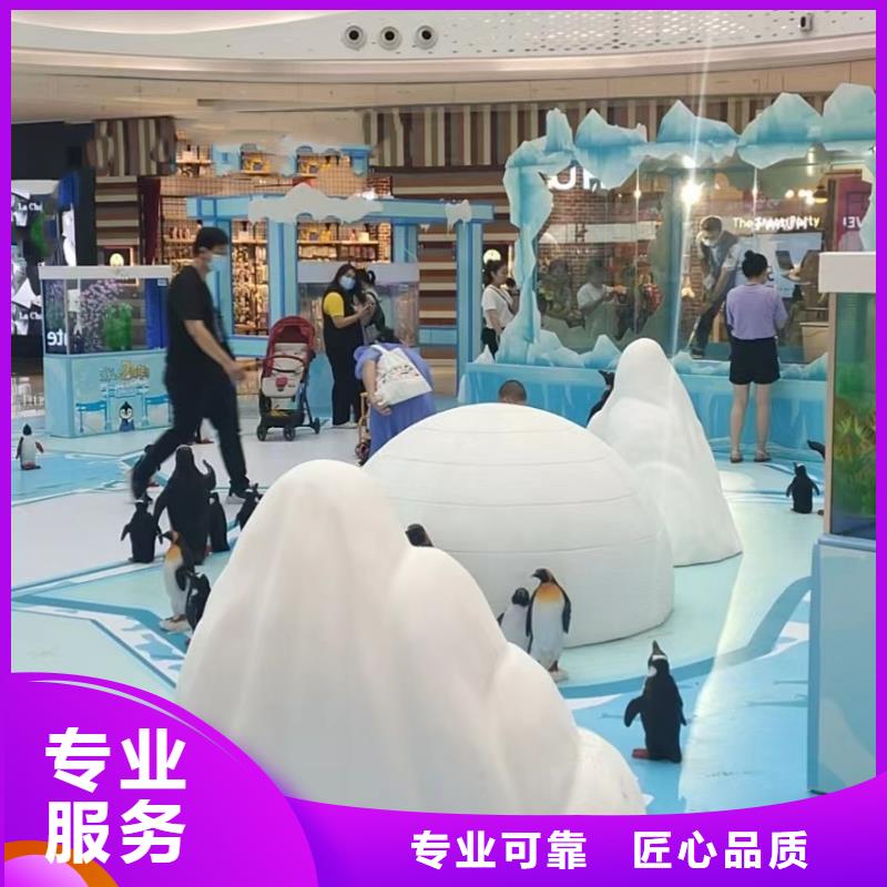 哪有出租海狮的一手资源