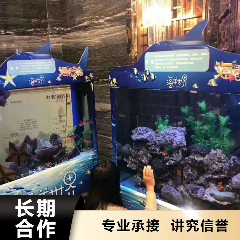 哪里有出租海狮表演的活跃气氛