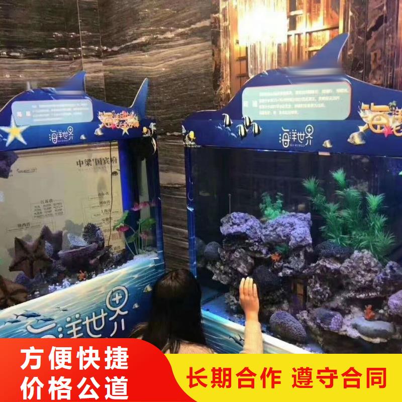 海洋主题动物表演 【海狮表演租赁】快速