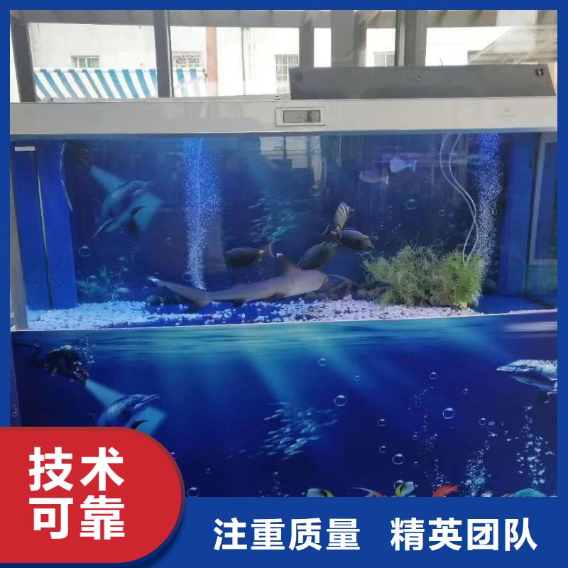 海洋主题动物表演美人鱼表演出租精英团队
