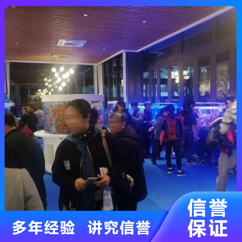 海洋生物展出租节日活动