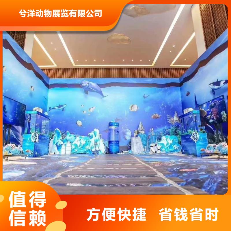 海洋主题动物表演 景区杂技表演一站式服务