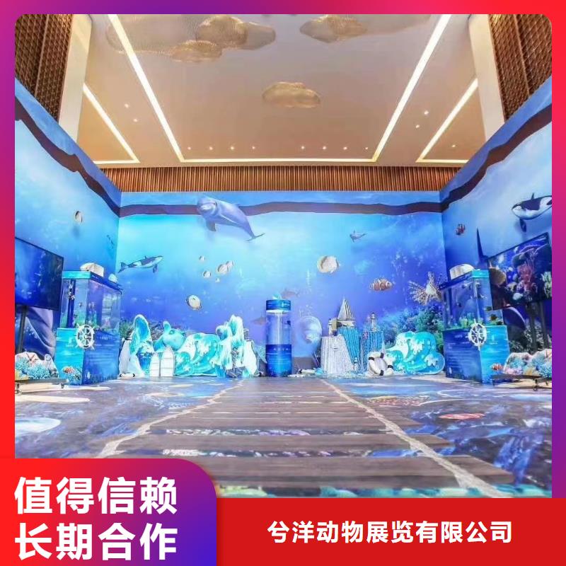 哪有租赁美人鱼表演的全国承接