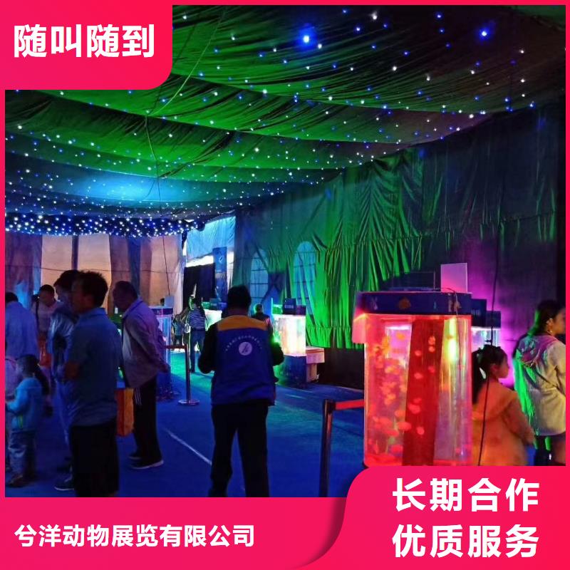 海洋生物展租赁哪里有