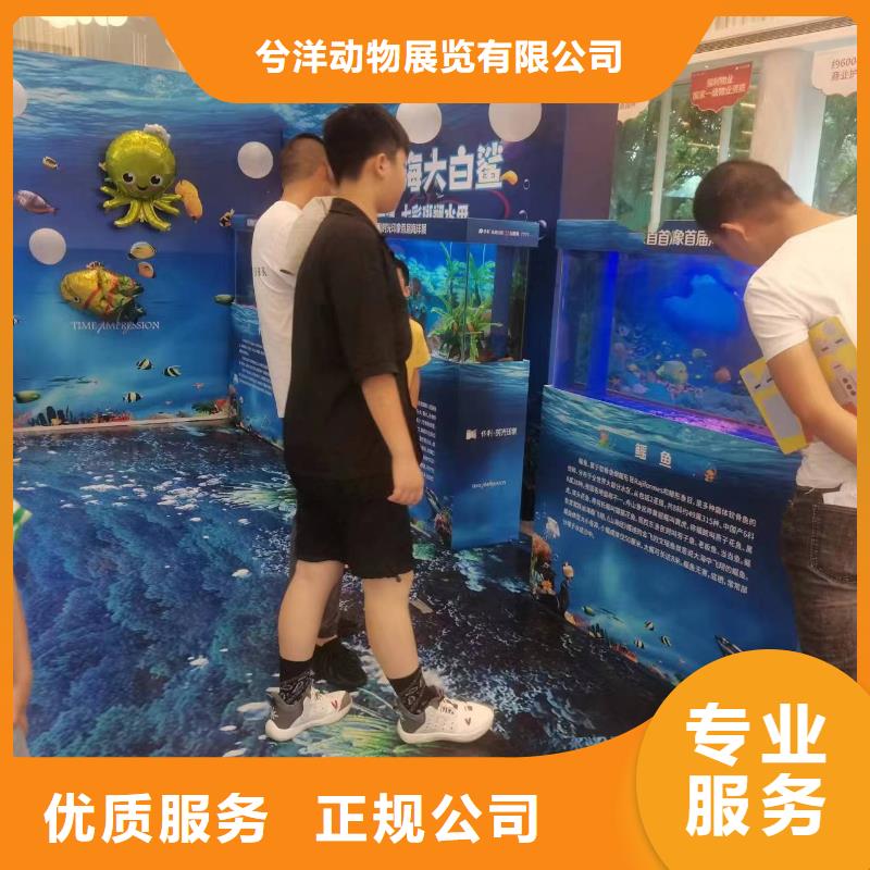 海洋主题动物表演羊驼出租售后保障