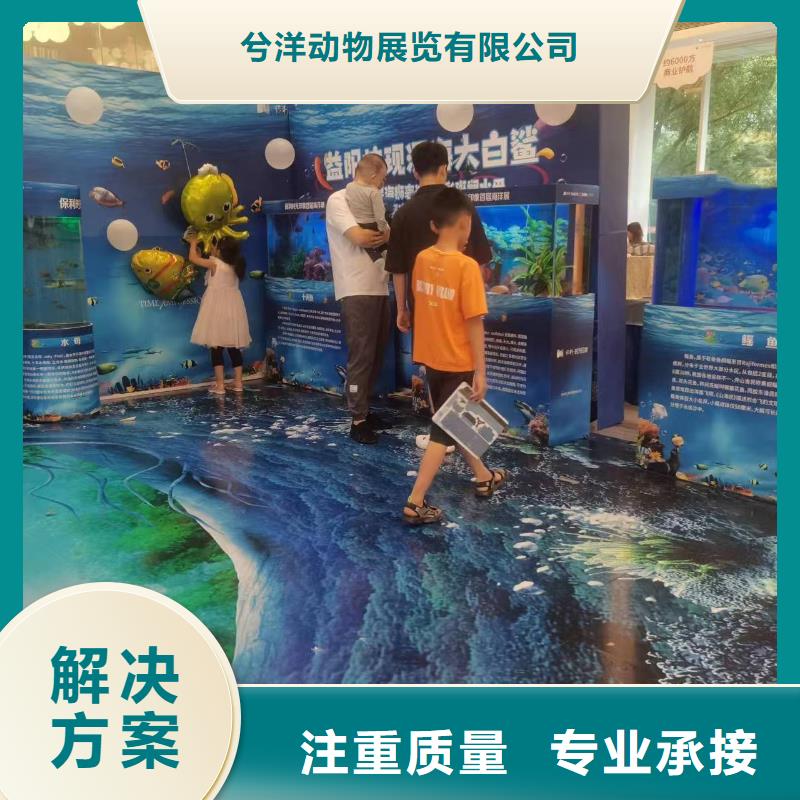 美人鱼表演租赁