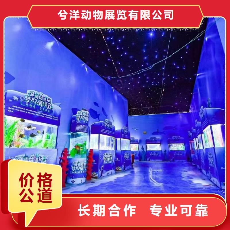 出租美人鱼表演活动