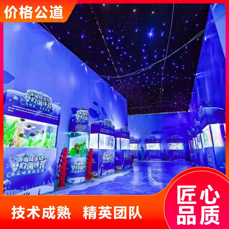 美人鱼表演租赁联系电话