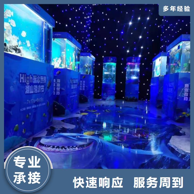 出租海狮表演创意方案