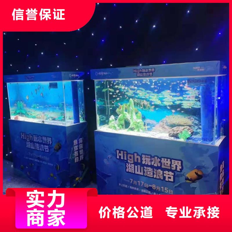 哪有企鹅租赁的活动图片