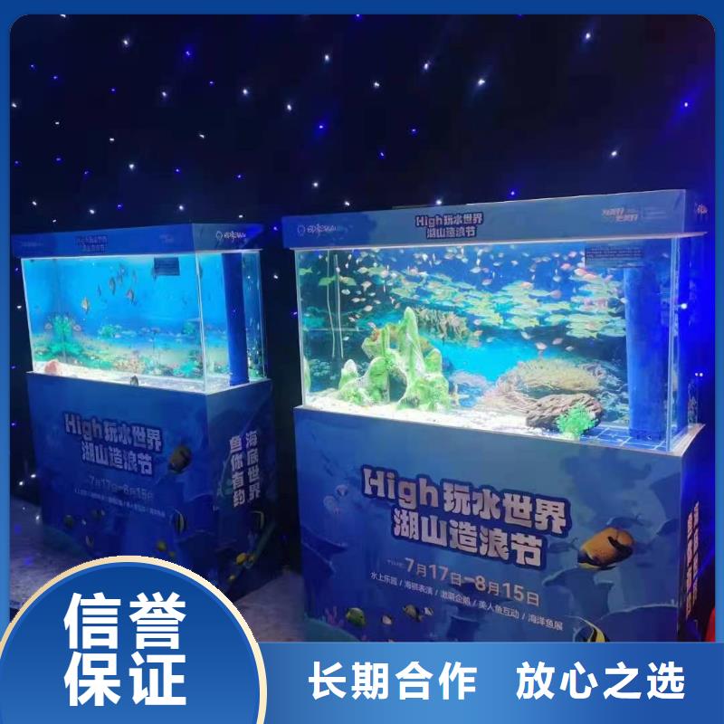 海洋主题动物表演_【表演动物出租】技术可靠