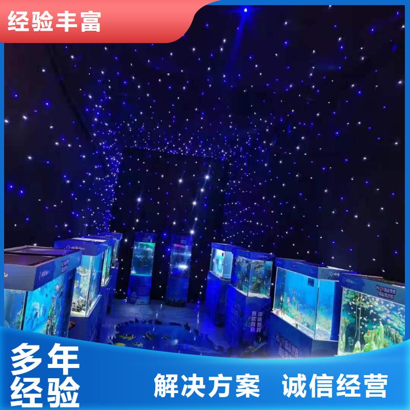 海洋主题动物表演海豚表演专业承接