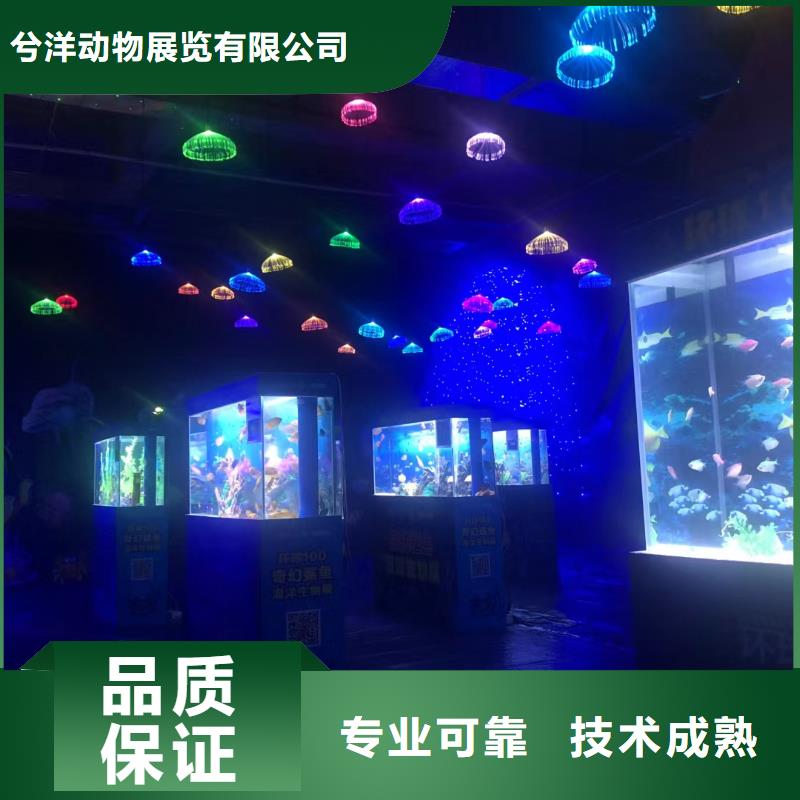 哪有出租美人鱼表演的暖场活动
