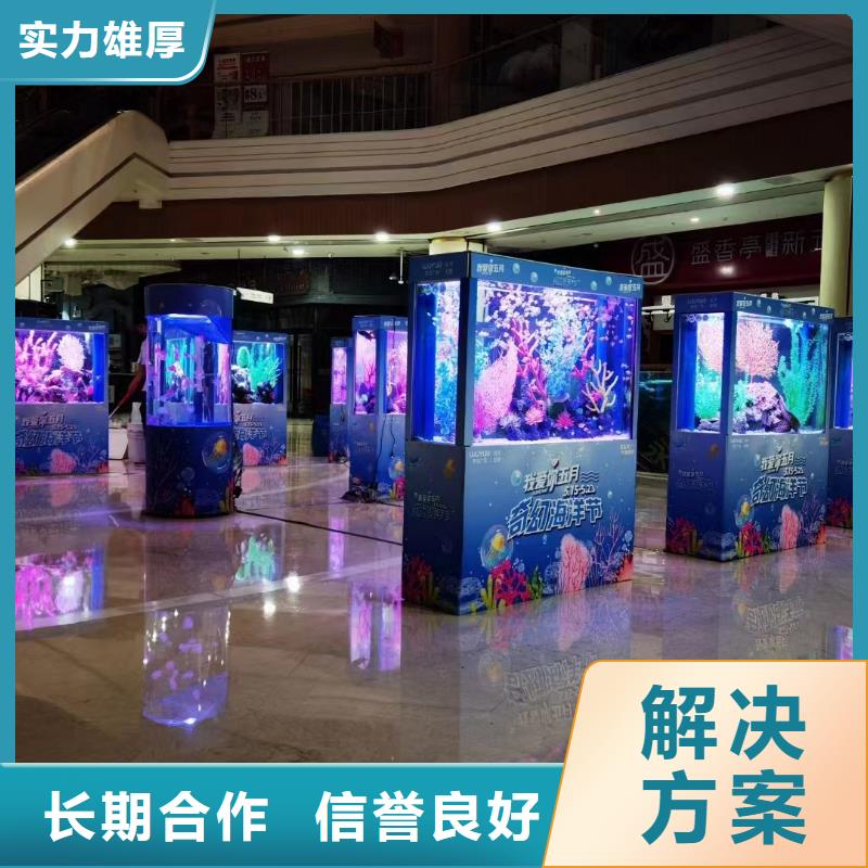 美人鱼表演出租报价