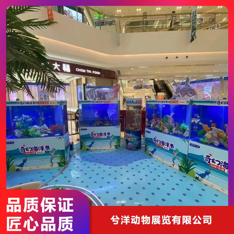 哪有出租美人鱼表演的免费资源