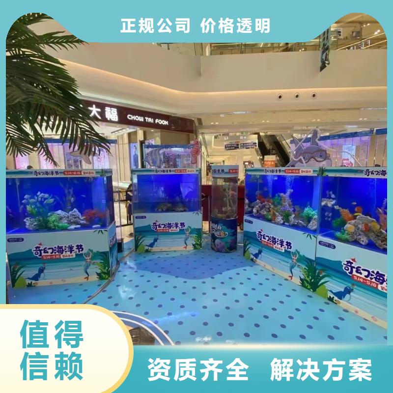 海狮表演租赁现货供应