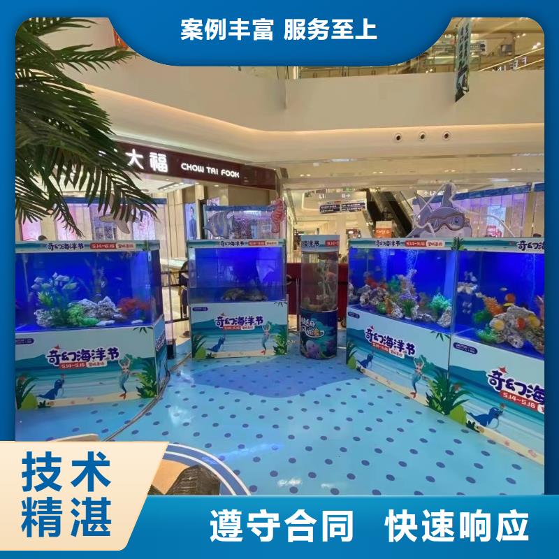 海洋主题动物表演_【企鹅演出】价格美丽