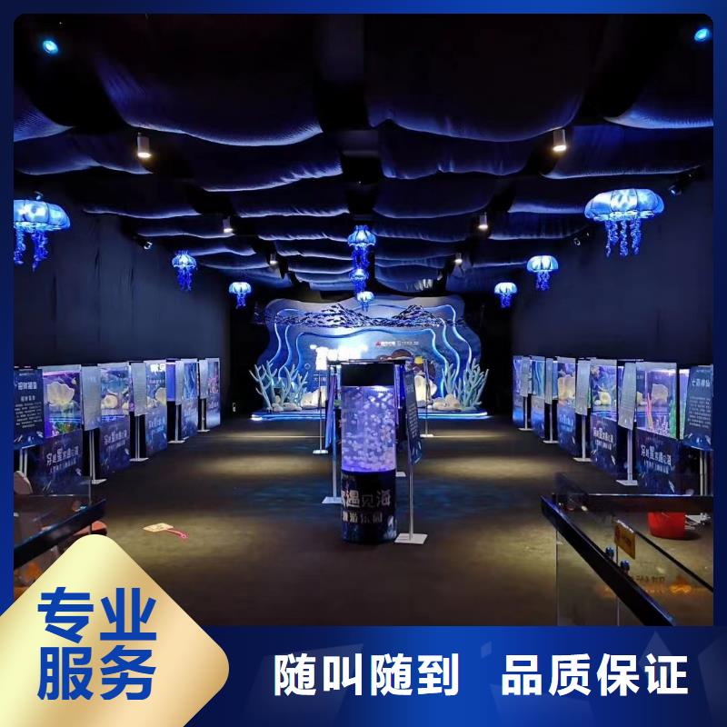 【海洋主题动物表演 企鹅出租多家服务案例】