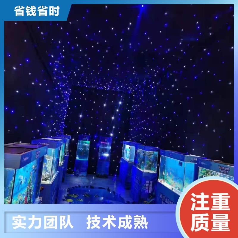 活体企鹅租赁公司活动庆典
