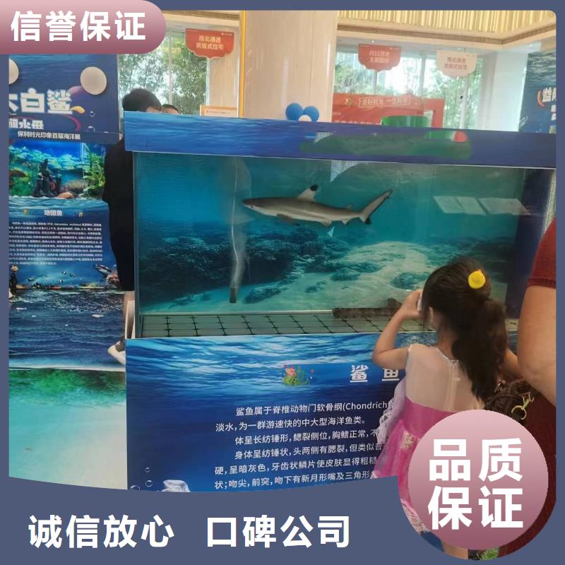 租赁美人鱼表演