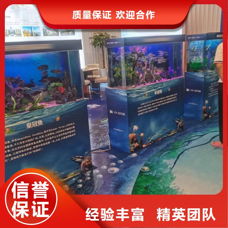 鳄鱼表演租赁活动庆典