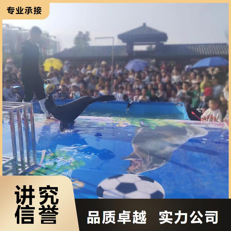 海洋主题动物表演 出租马戏团表演良好口碑