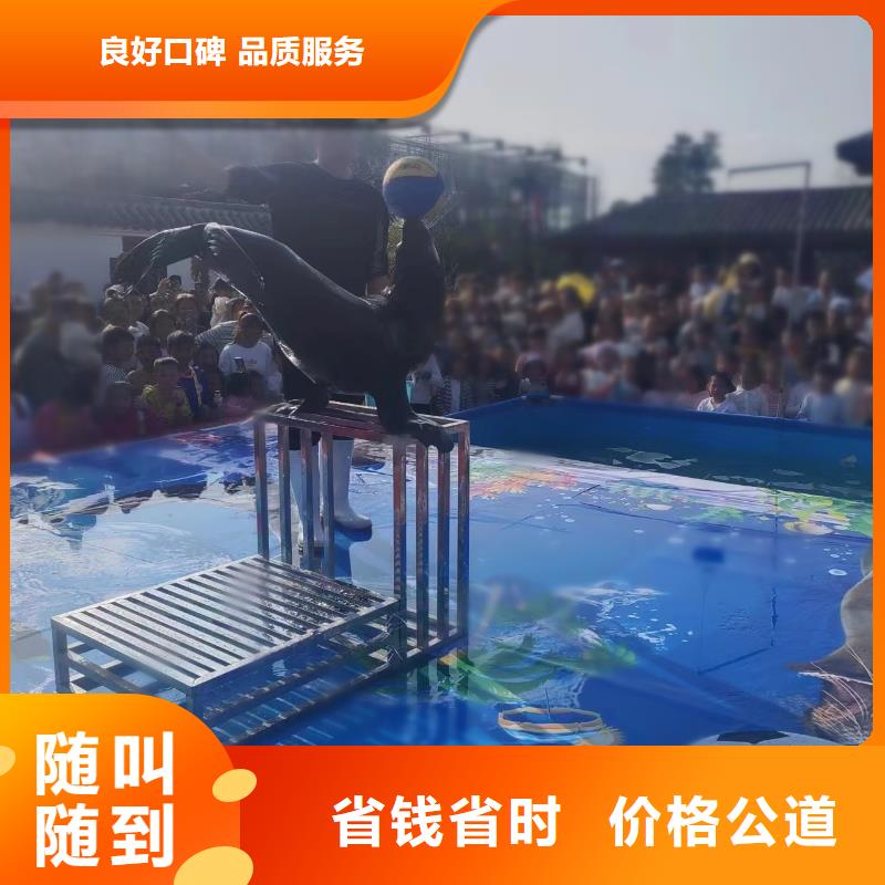 美人鱼表演租赁联系电话