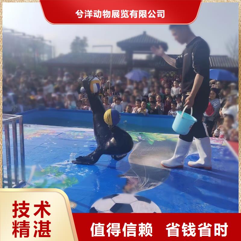 哪有租赁美人鱼表演的全国承接