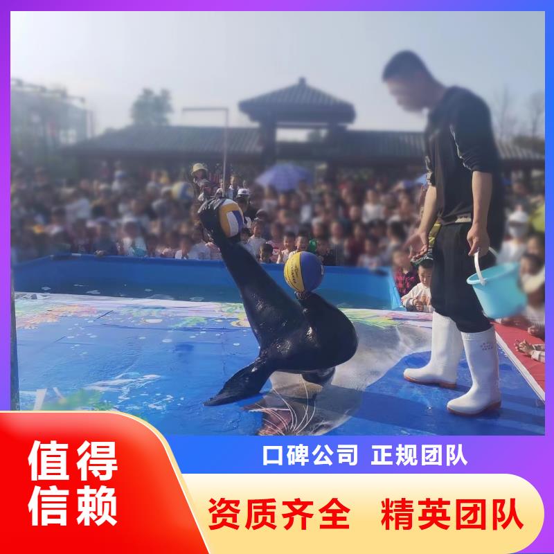 海狮表演出租