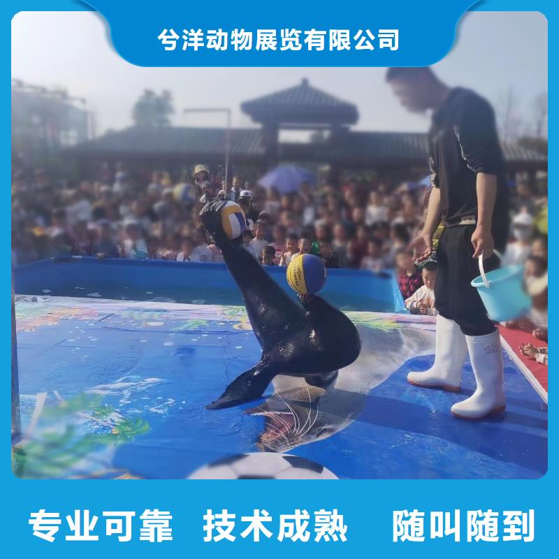 哪有出租海洋展的