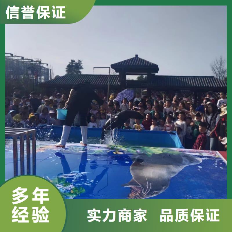 【海洋主题动物表演】,马戏团表演出租租赁服务周到