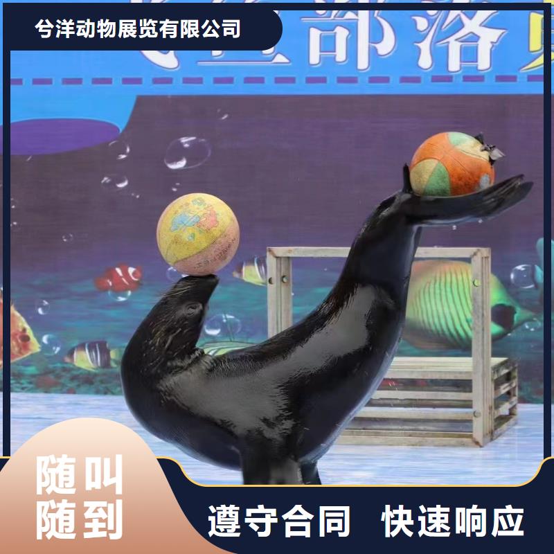 海洋生物鱼缸展出租活动庆典