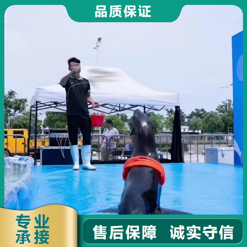 【海洋主题动物表演】美人鱼表演讲究信誉