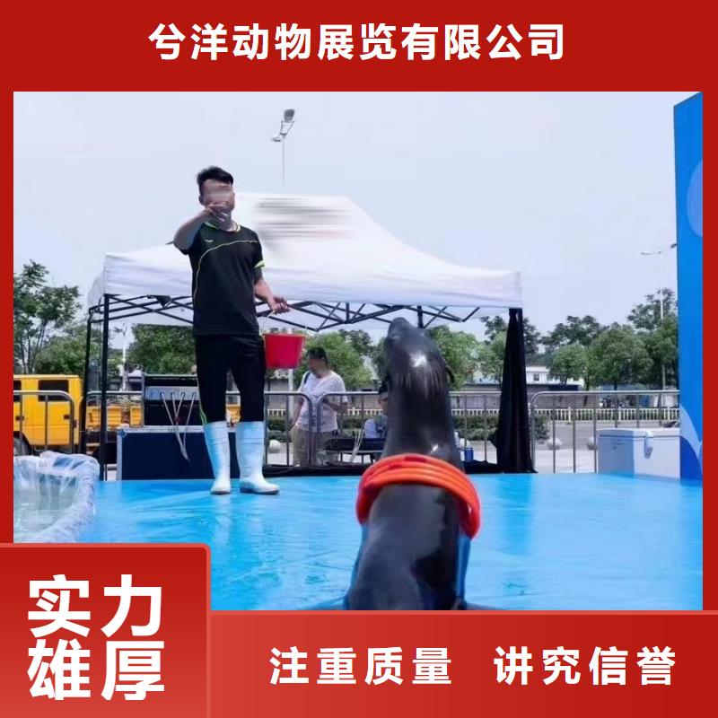企鹅出租暖场活动